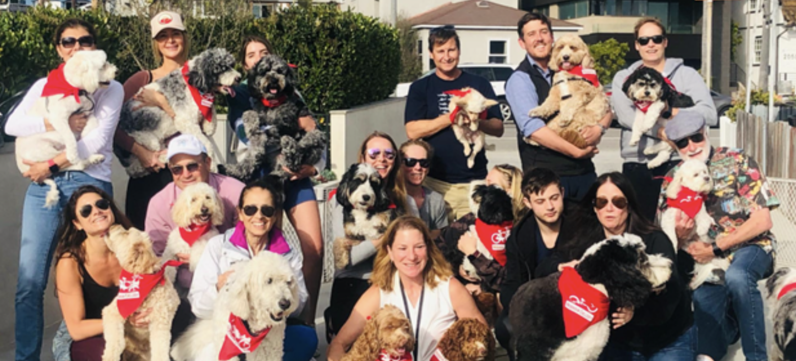 Dog Park Progress On Leash