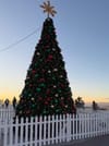 Tree Lighting Caps Hermosa for the Holidays Weekend on Sunday